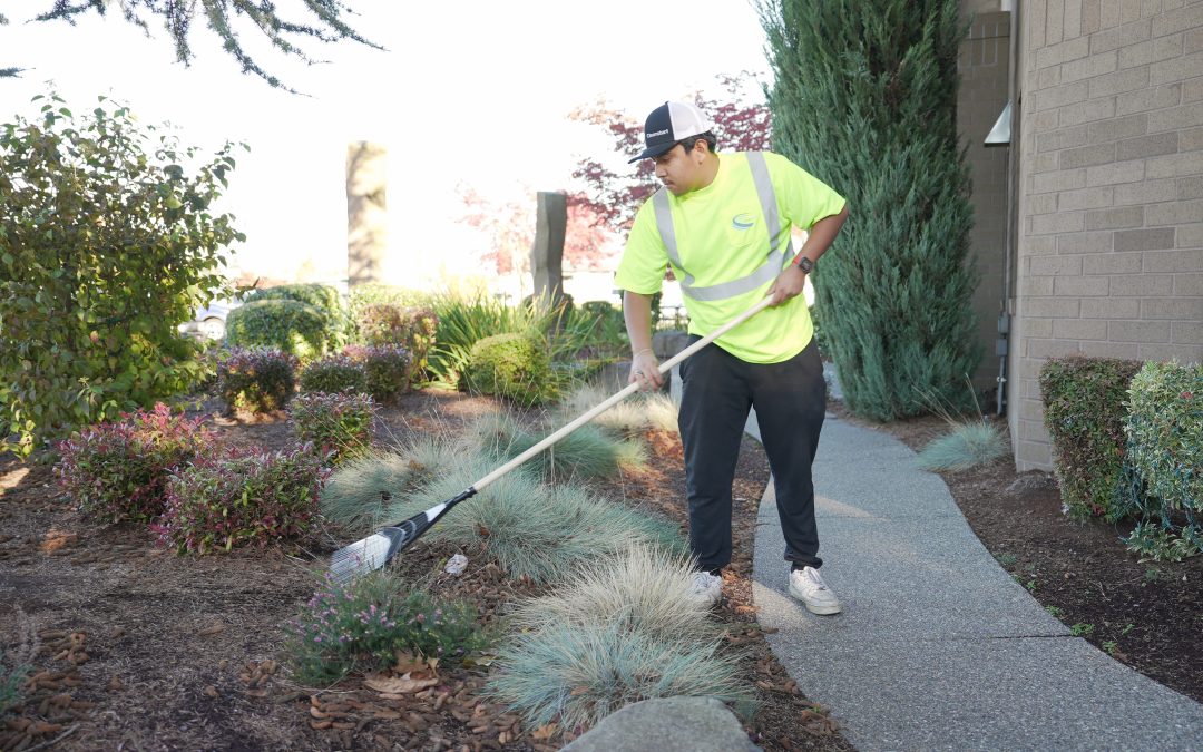 Full-Service Exterior Property Maintenance You Can Rely On